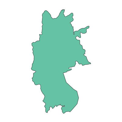 七星关区梨树镇PPT模板