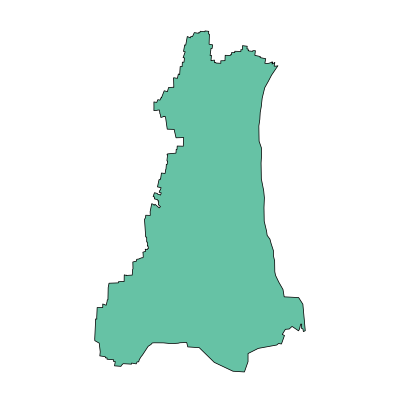东明县大屯镇PPT模板