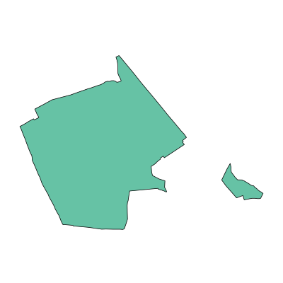 亭湖区新兴镇PPT模板