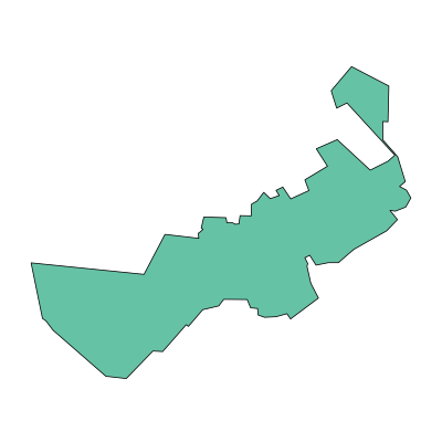 八公山区新庄孜街道PPT模板