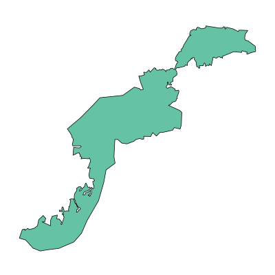 兴宾区来华投资区PPT模板
