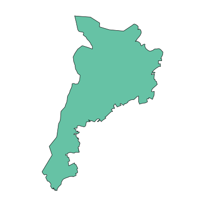 南关区新湖镇PPT模板