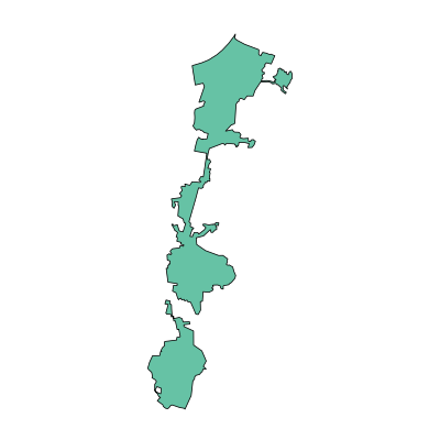 南岸区海棠溪街道PPT模板