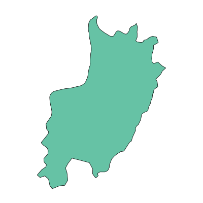 南溪区大坪乡PPT模板