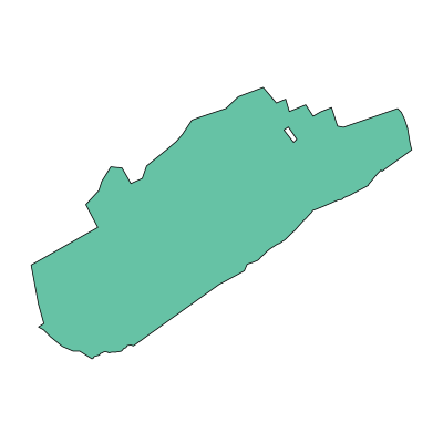 大安市四棵树乡PPT模板