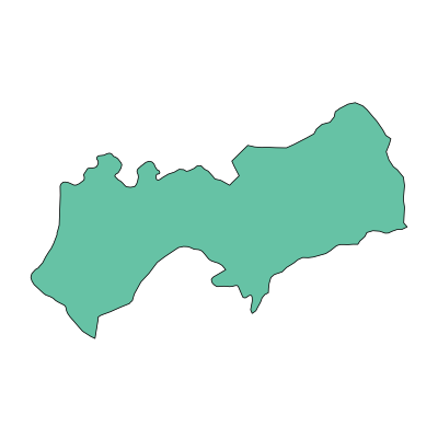 安陆市巡店镇PPT模板