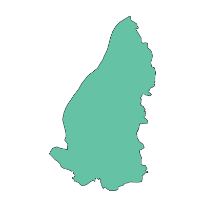 巢湖市庙岗乡PPT模板