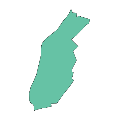 工农区新南街道PPT模板