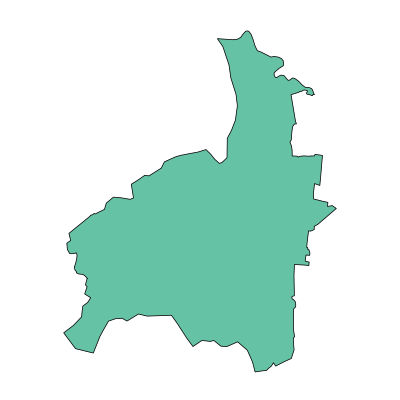 广汉市金鱼镇PPT模板