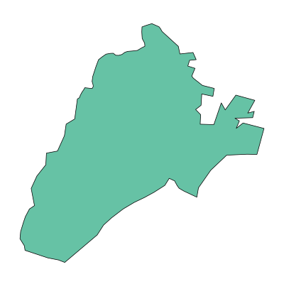庐江县冶父山镇PPT模板