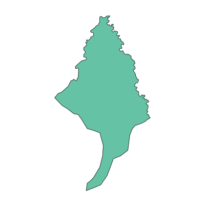 延寿县加信镇PPT模板