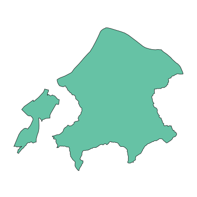 延平区水南街道PPT模板