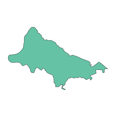 恩阳区义兴乡PPT模板