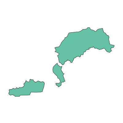 敦化市大石头林业有限公司PPT模板