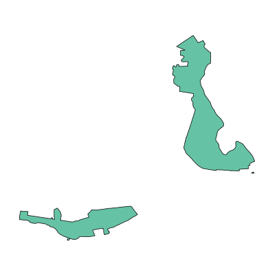 新洲区涨渡湖街道PPT模板