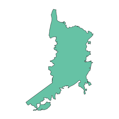 樟树市大桥街道PPT模板