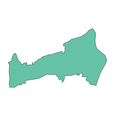 沧县兴济镇PPT模板