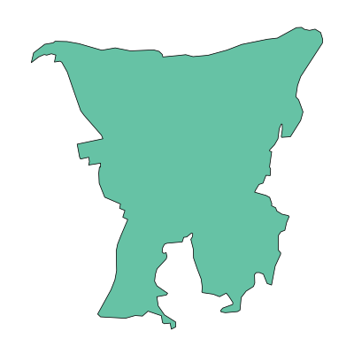 渝中区大坪街道PPT模板