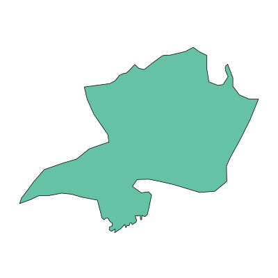 渠县临巴镇PPT模板