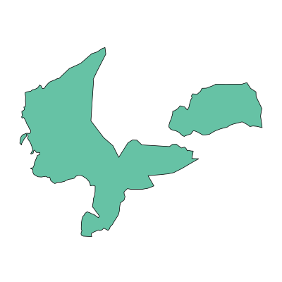 游仙区新桥镇PPT模板