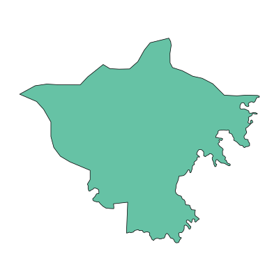 自流井区仲权镇PPT模板