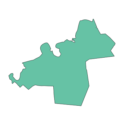 苏家屯区王纲街道PPT模板
