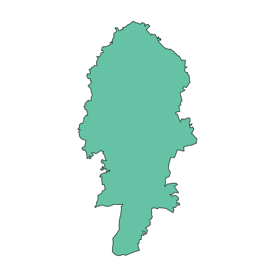 贵溪市志光镇PPT模板