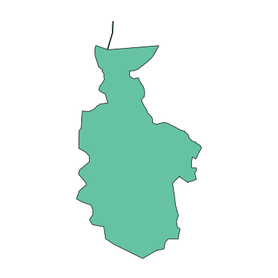鱼峰区天马街道PPT模板