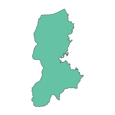 龙游县东华街道PPT模板