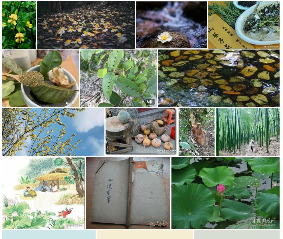 七溪黄耆照片和图片/