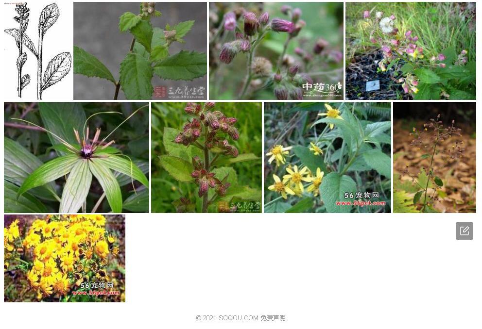 七里明照片和图片/