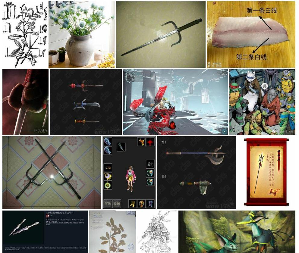 三叉刺照片和图片/
