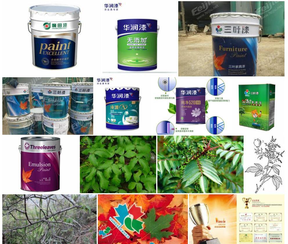 三叶漆照片和图片/