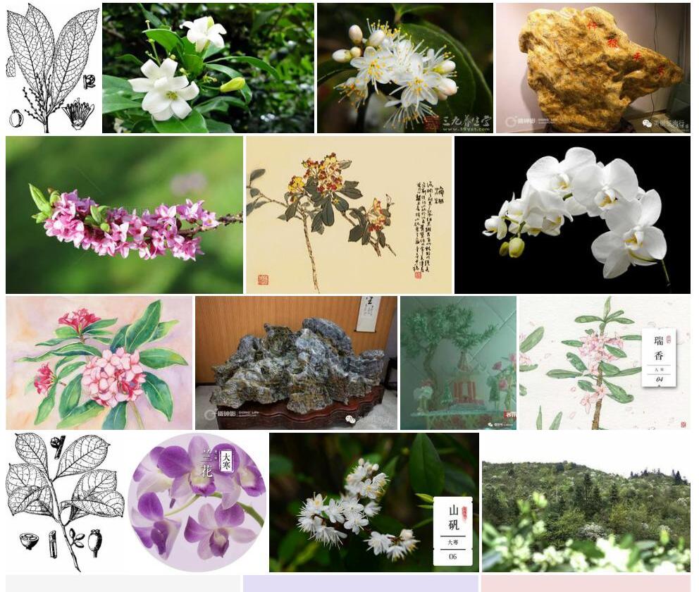 三裂山矾照片和图片/
