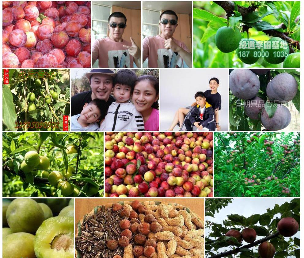 东北李照片和图片/