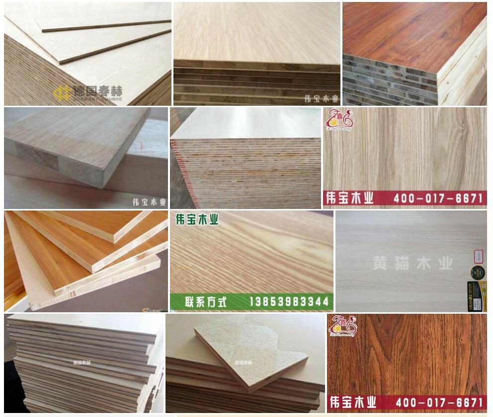 东北杨照片和图片/