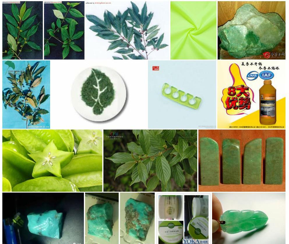 两色冻绿照片和图片/