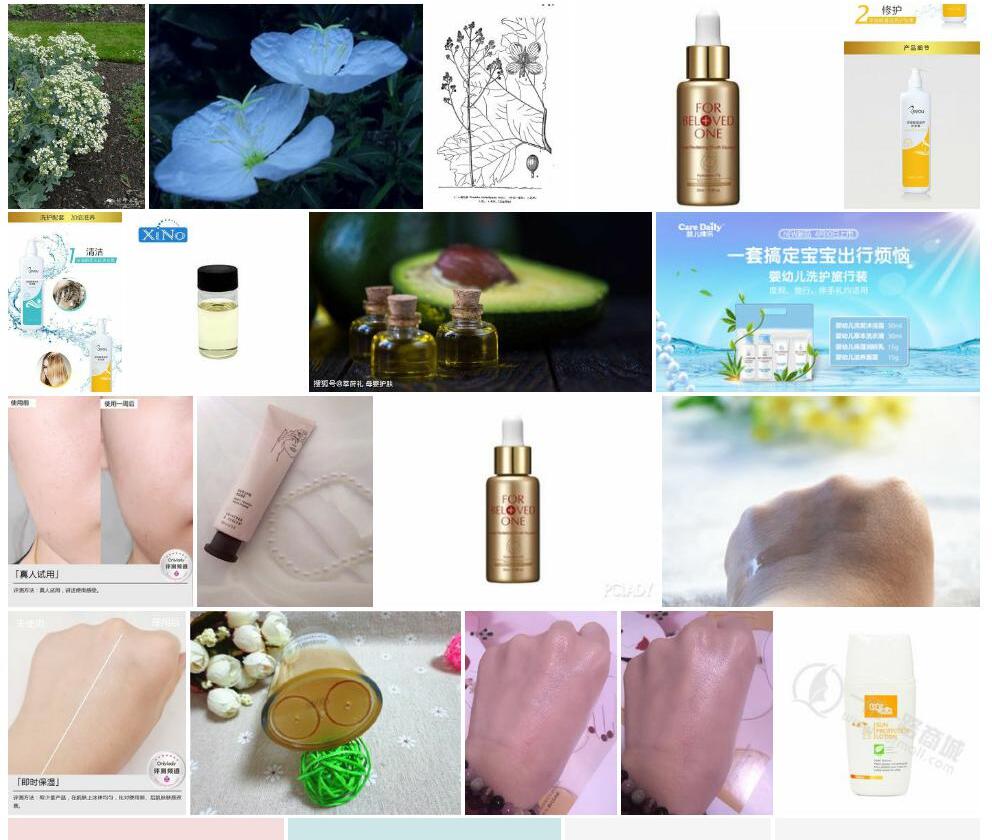两节荠照片和图片/