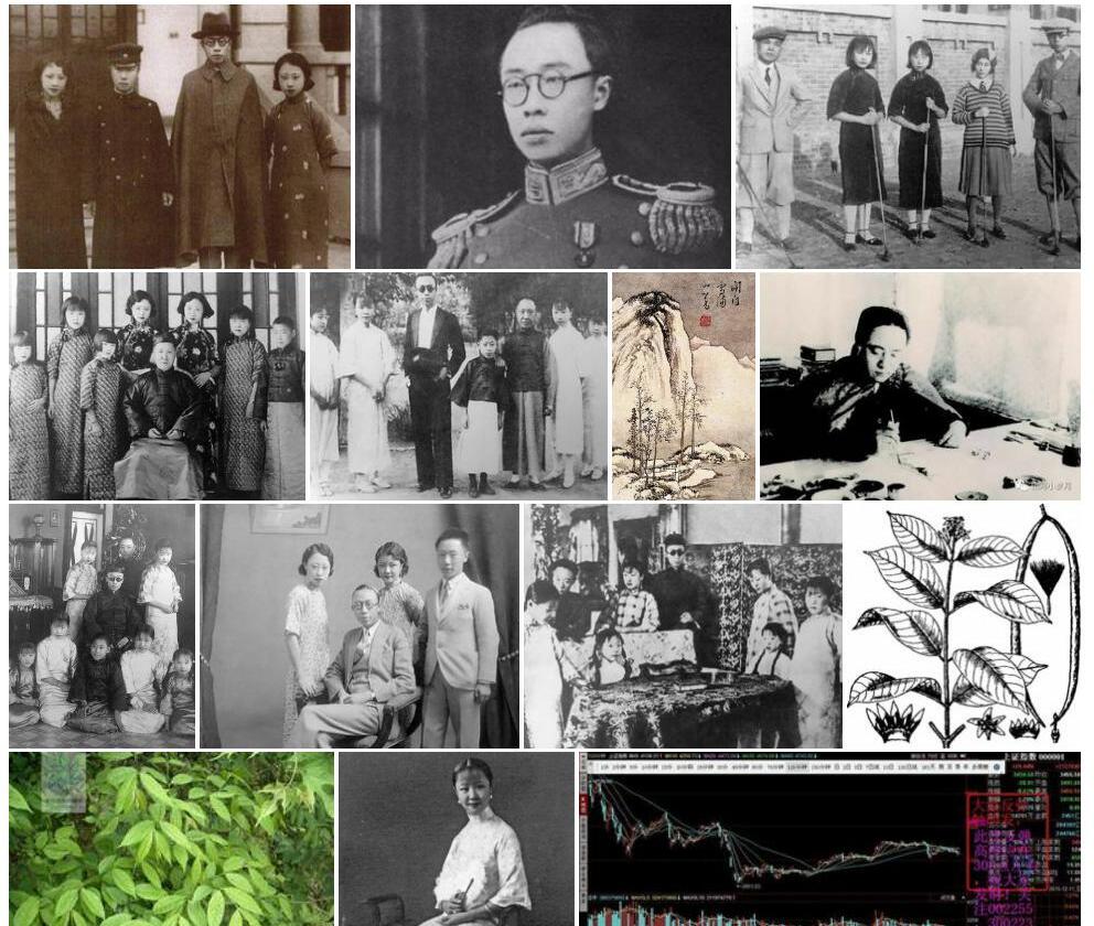 个溥照片和图片/