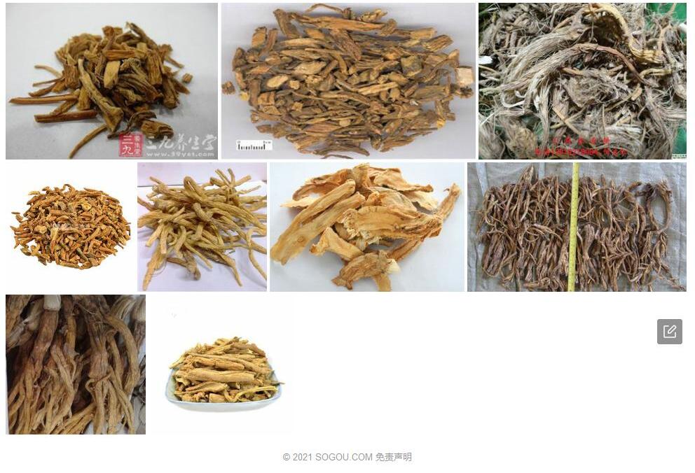 中亚秦艽照片和图片/
