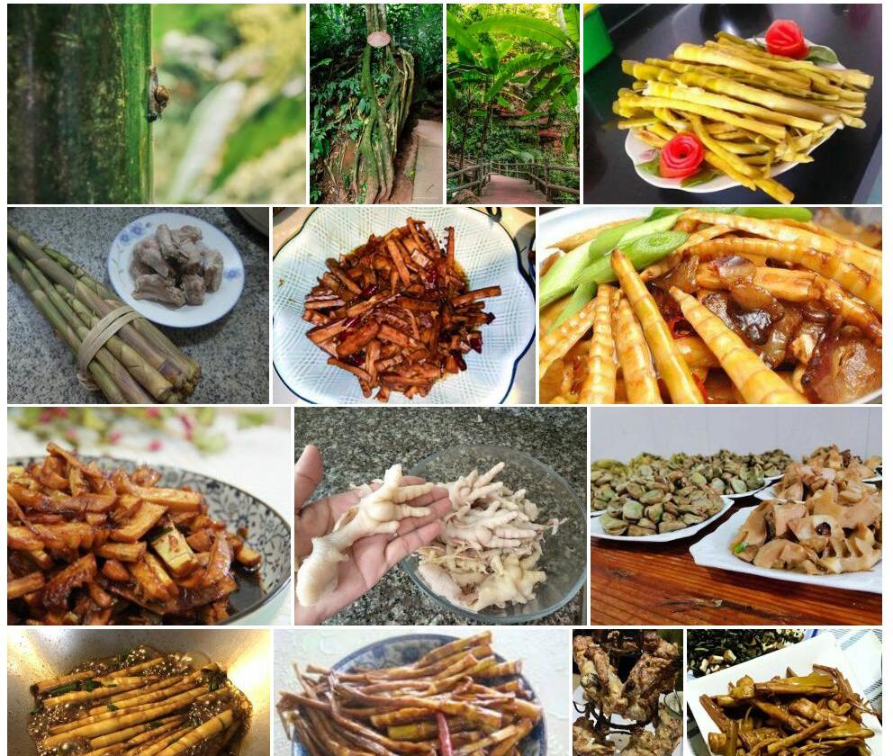 中越脚骨脆照片和图片/