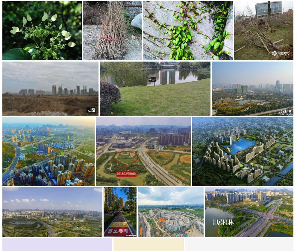 临桂钻地风照片和图片/