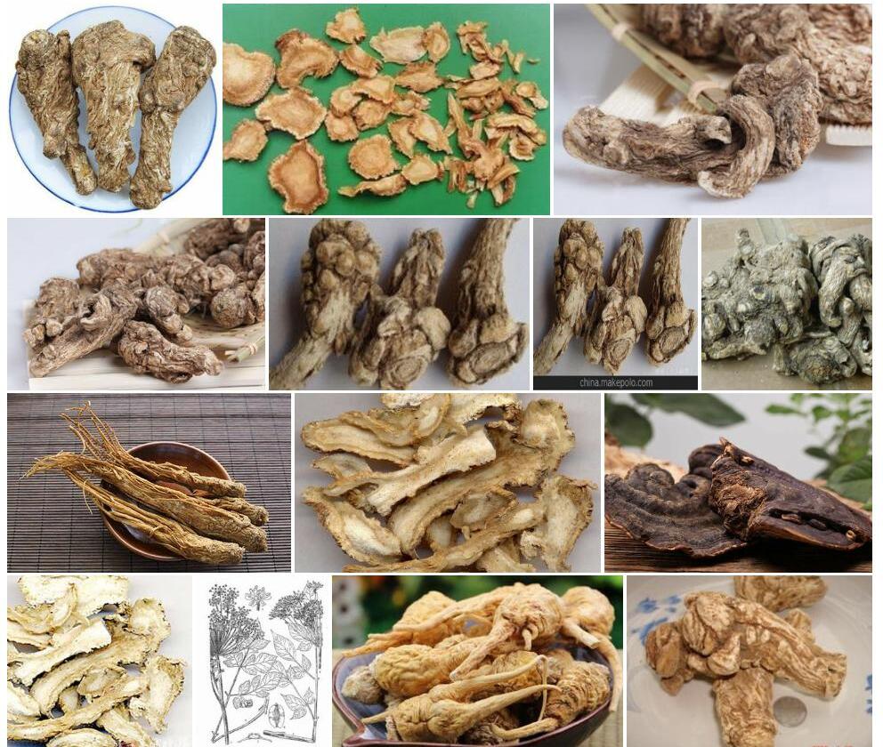 丽江当归照片和图片/