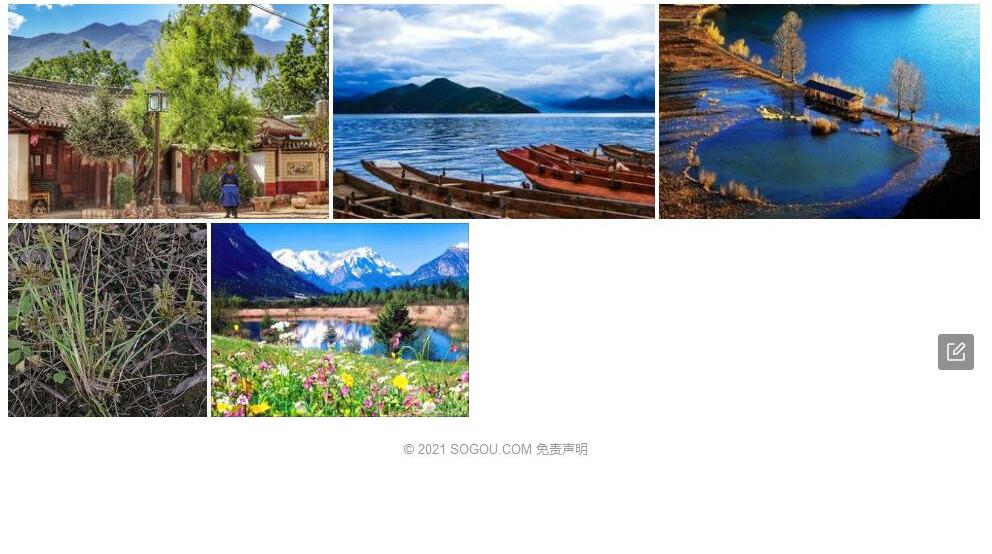 丽江扁莎照片和图片/