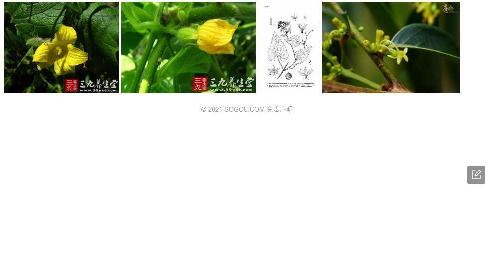 丽江赤瓟照片和图片/