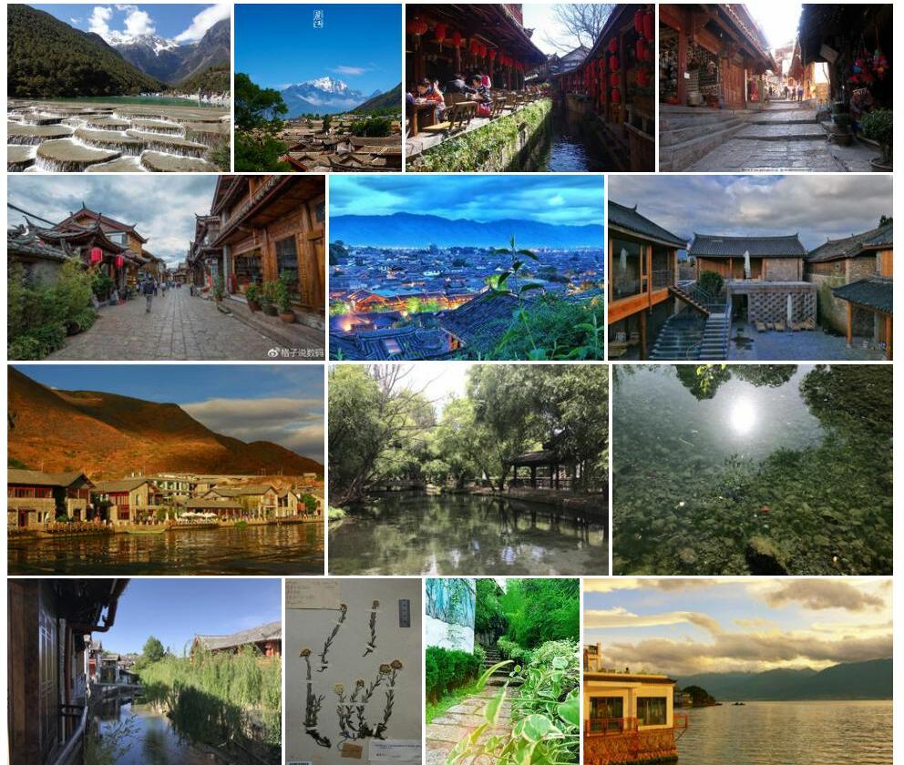 丽江香青照片和图片/
