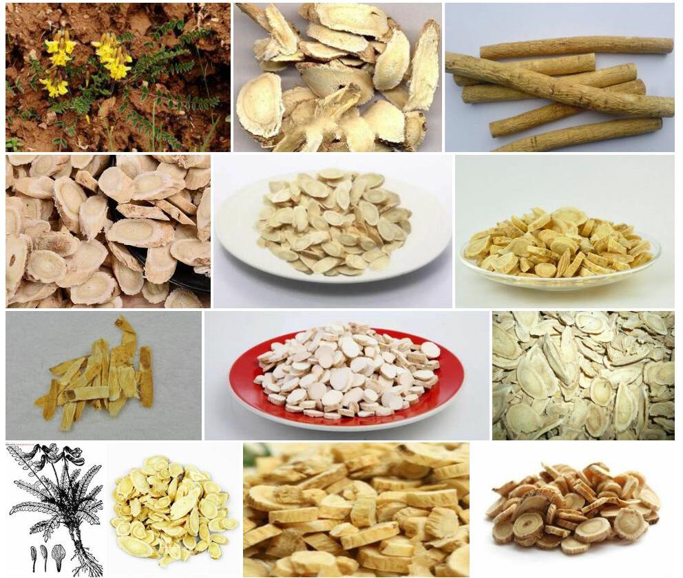 丽江黄耆照片和图片/