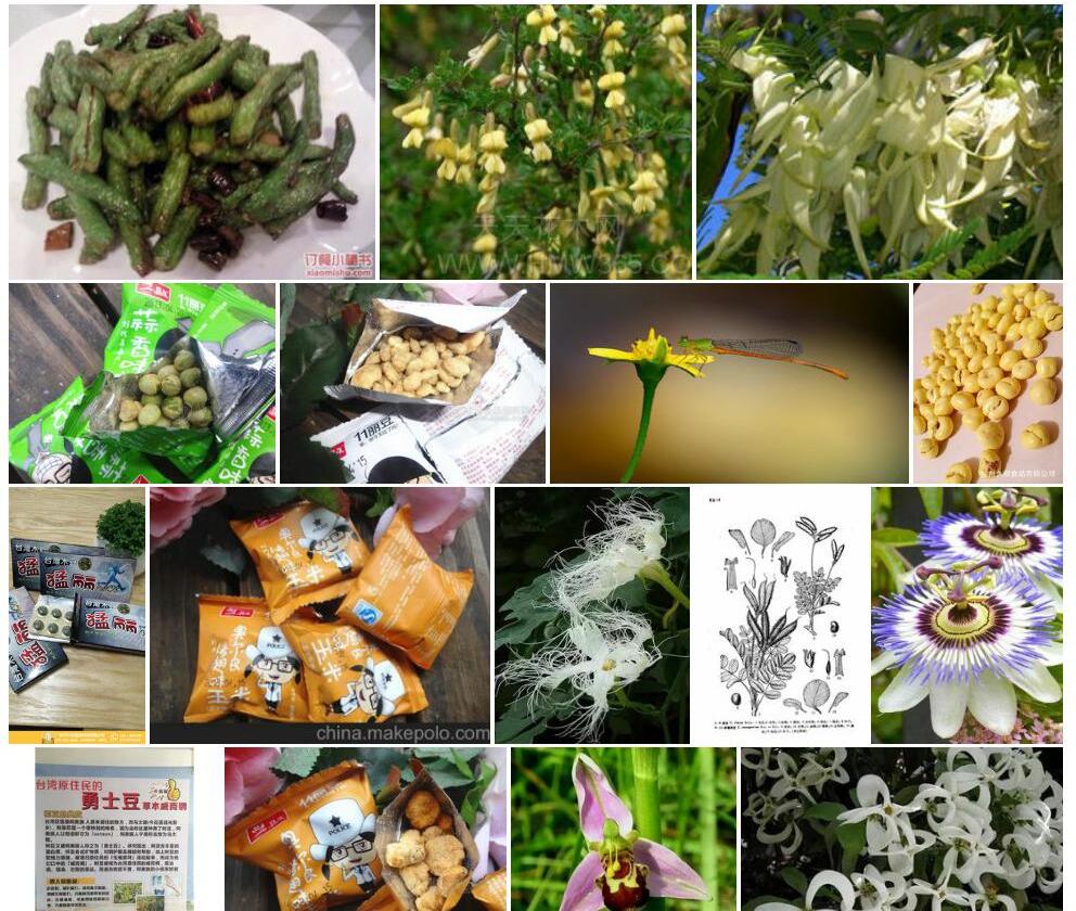 丽豆照片和图片/