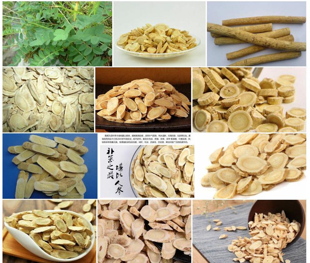 乌恰黄耆照片和图片/