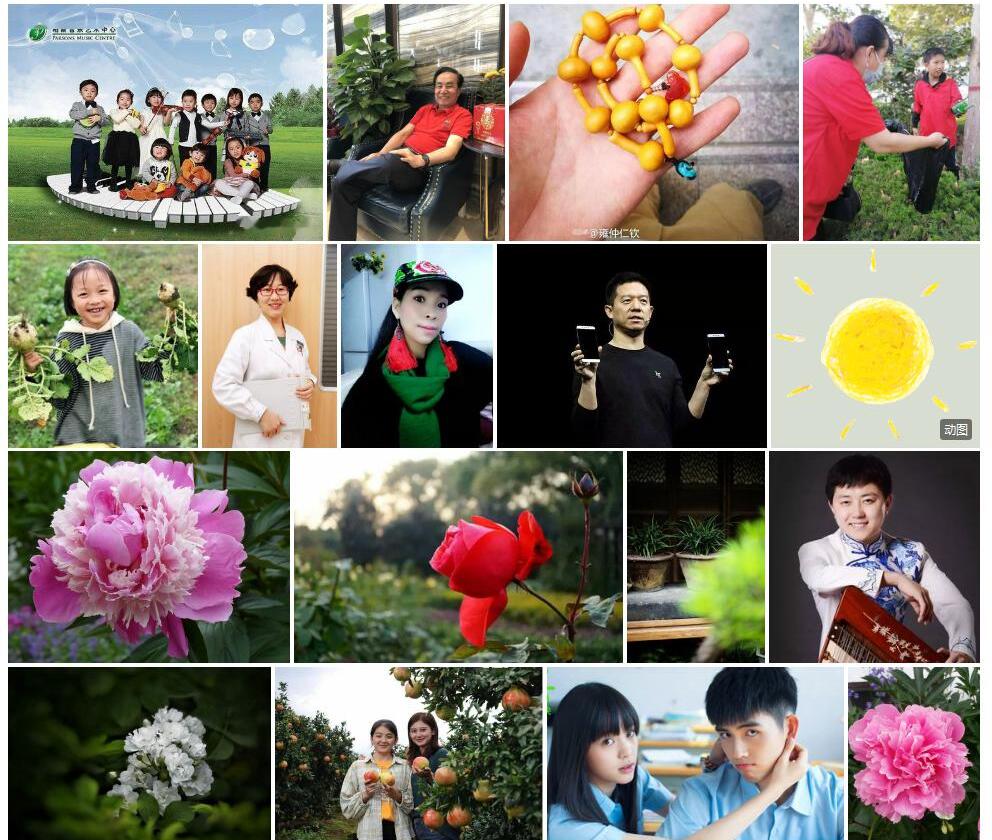 乐会润楠照片和图片/